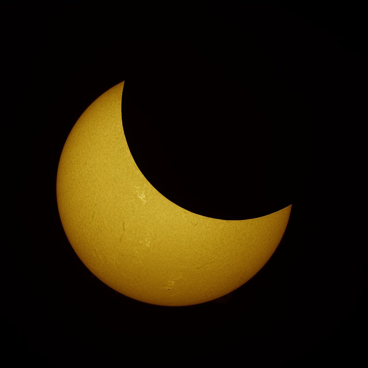 Dr. Lucille Le Corre tweet media