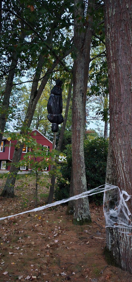 𝖂𝖔𝖑𝖋 🐺🌲 ⛺(open for Collabs) tweet media