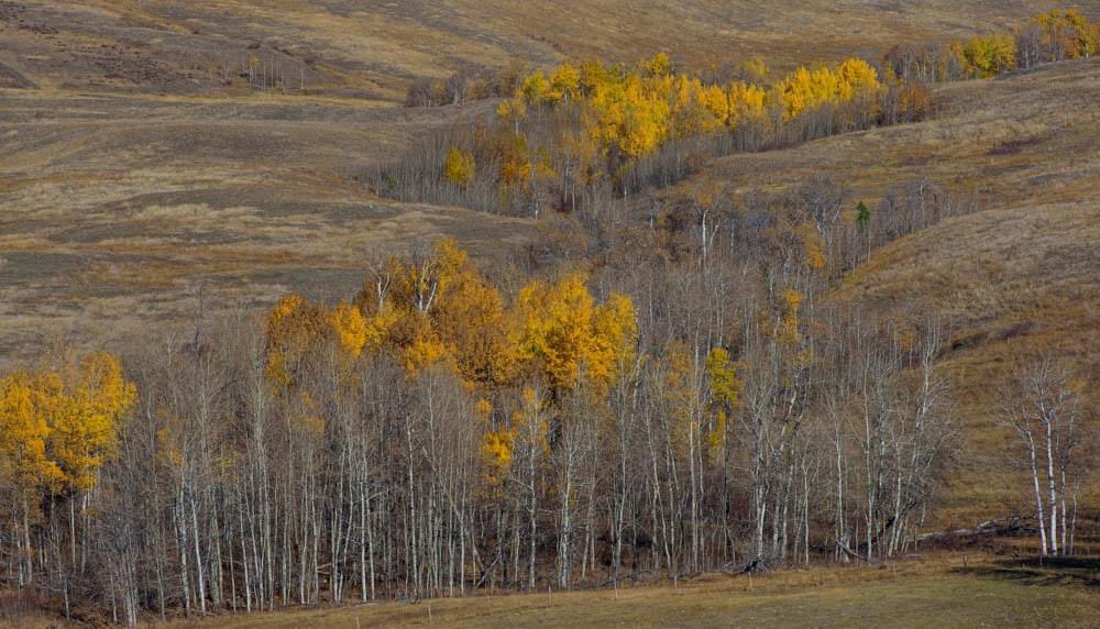 It’s fall in #BritishColumbia #HelloBC #fallcolors