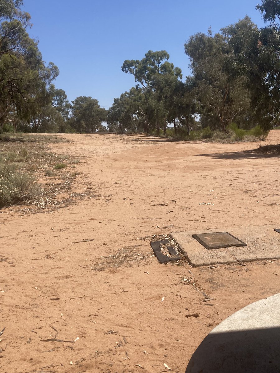 Had a round of ⛳️ at #RoyalSunsetStrip during the week. We played six holes before the heat and flies (&amp; scrapes!) got the better of us. The short Par 3 5th #MoosesMound pictured here.