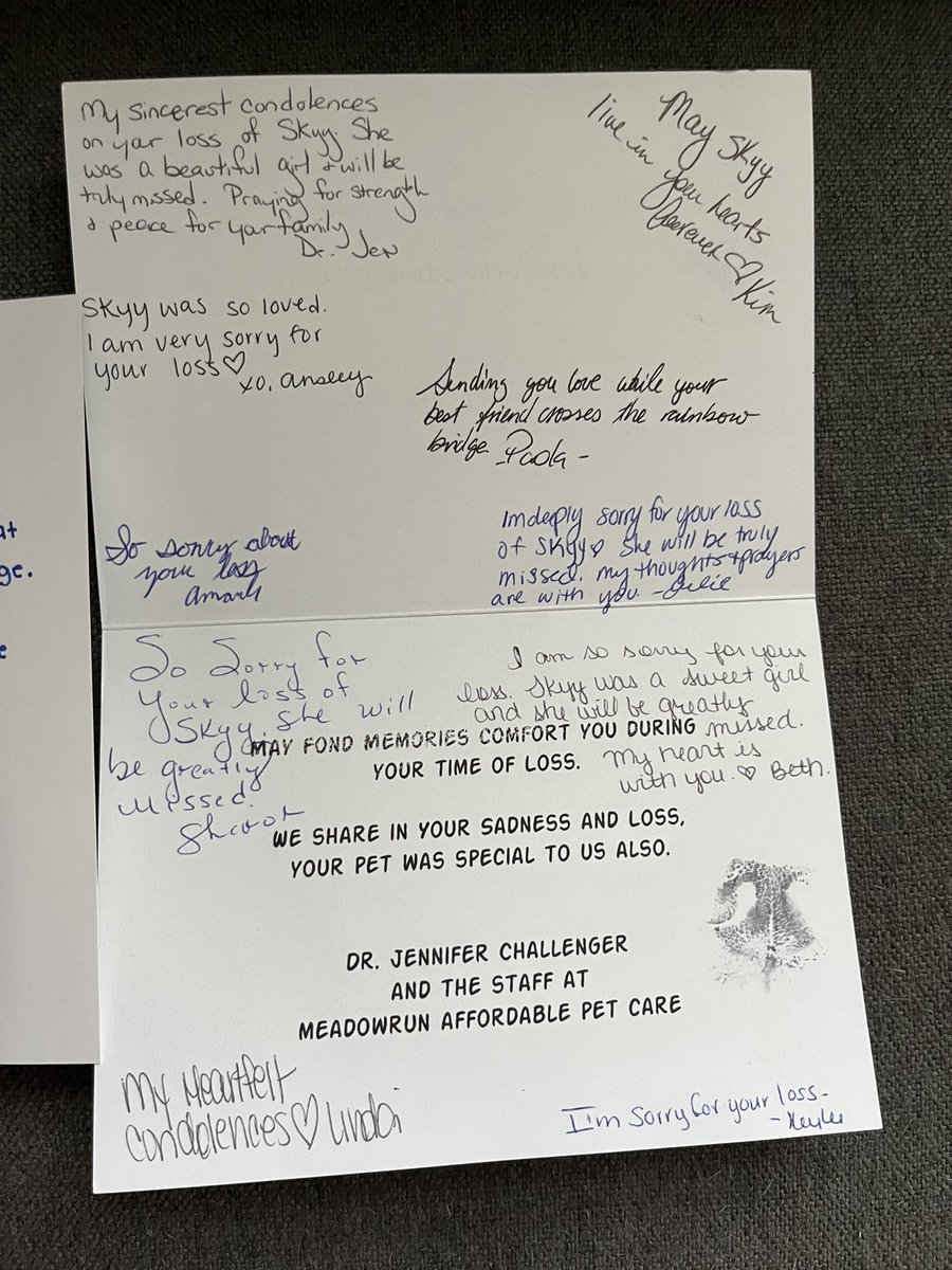 rlmarti88's tweet photo. It’s been 15 days since Skyy crossed the rainbow bridge. 

Thank you everyone for the kind words, for reaching out, and for the thoughtful cards and gifts. She will live on in our hearts. 🌈 @Chewy #rainbowbridge https://t.co/F3F4DutGHN
