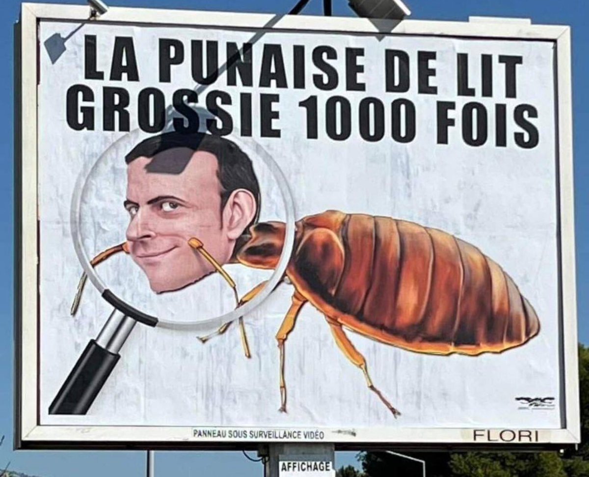 Gilets Jaunes (@gjaunes) on Twitter photo 