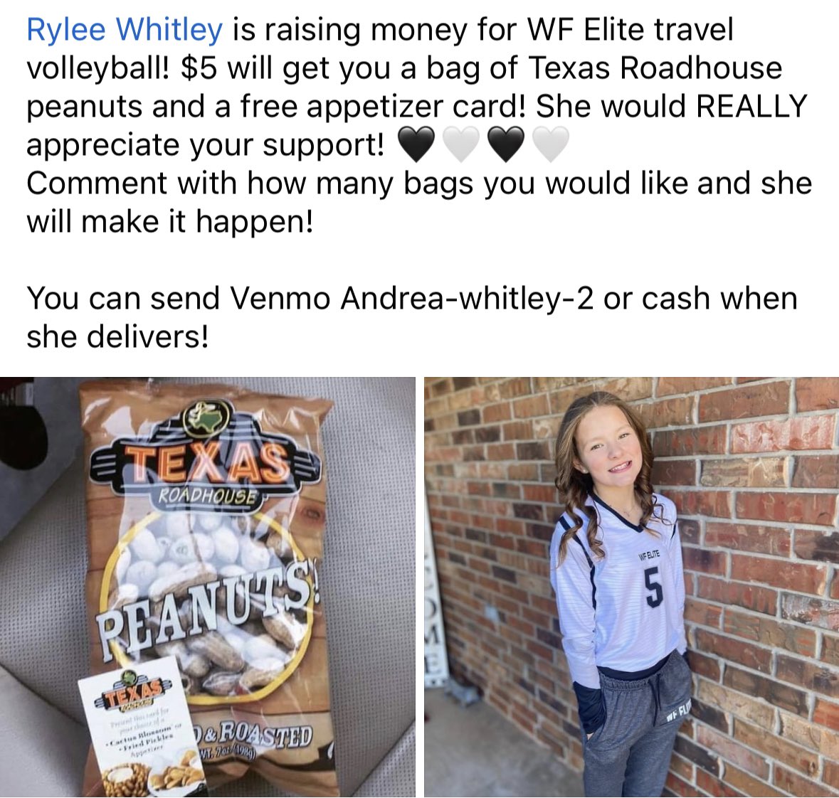 Andrea Whitley tweet media