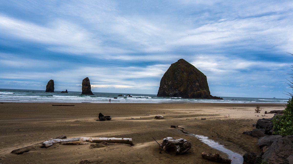 AGDICE1's tweet photo. The Oregon coast. 
First time for our son to enjoy the beach. Cape lookout state park &amp; Cannon beach

息子、初めての海。寒空の下、怖気づかずにざぶざぶと海に入っていく後ろ姿は頼もしかったです。

#capelookout
#cannonbeach
#oregoncoast
#オレゴン
#キャノンビーチ https://t.co/RCfKQukPeu