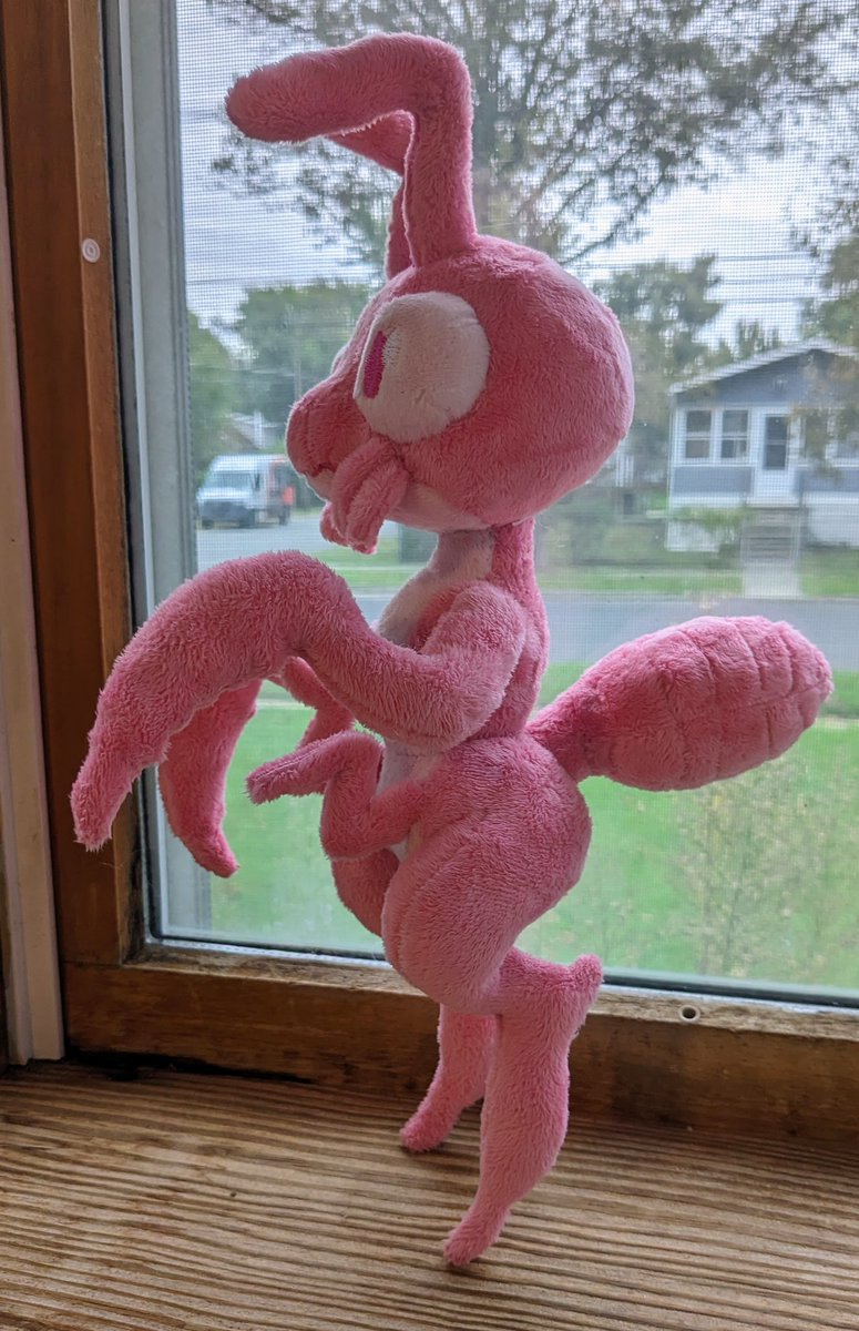 plushypuppy's tweet photo. There aren't enough bug anthros in the world, so I made some! 
Mantis plush, fully poseable with wire armature. https://t.co/QjBw0u8pW5