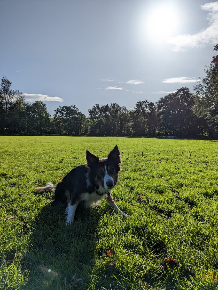 What a stunning day it has been on and off today!