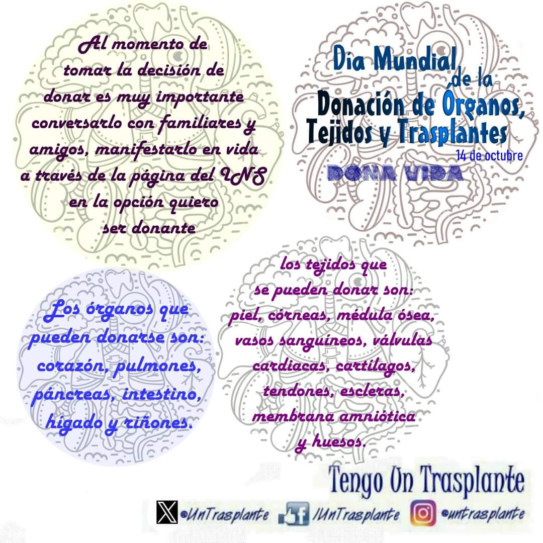 UnTrasplante's tweet photo. El #DíaMundialdelaDonación de Órganos, Tejidos y Trasplantes, tiene como propósito incentivar a las personas a ser donantes y generar conciencia. 
Acá encontraras algunos datos que debemos saber para que aprendamos y nos concienticemos  #DíaMundialdelaDonacióndeÓrganosytejidos https://t.co/LPTl2JOITn