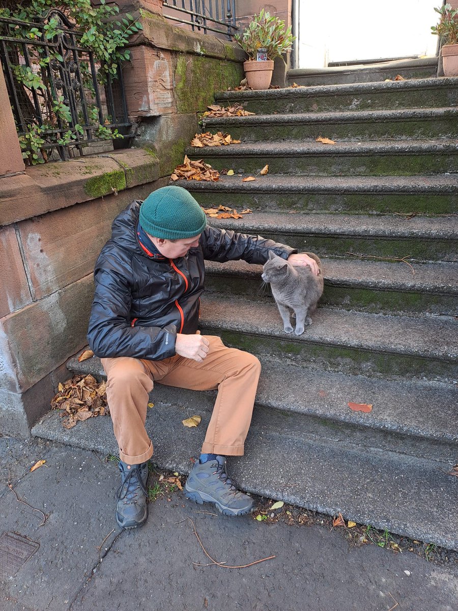 Wee cat pal today wee friendly moggy purrs galore @thecatreviewer