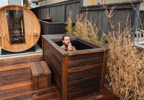 Guys literally only want one thing and it’s fucking disgusting. A cold plunge & sauna setup