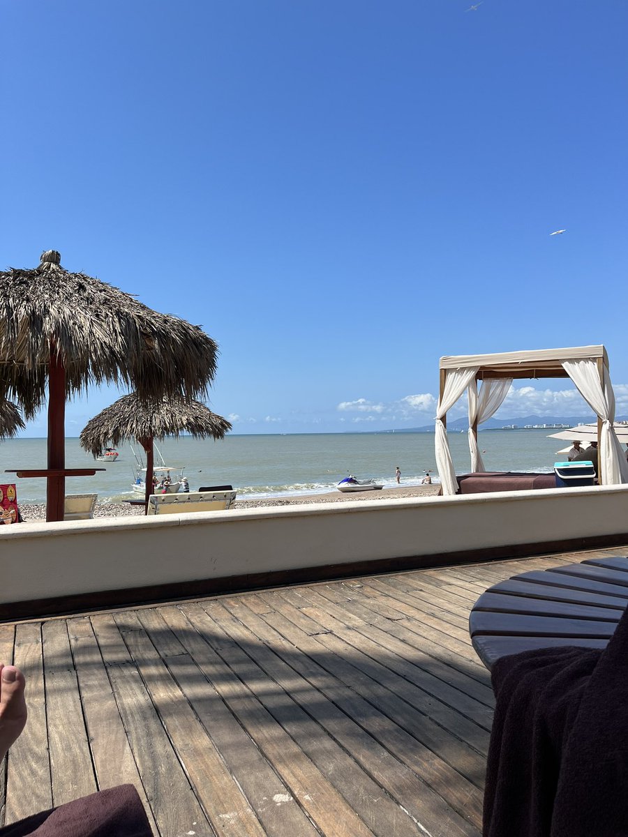 Another day under my palm tree in Mexico 🇲🇽🌵☀️