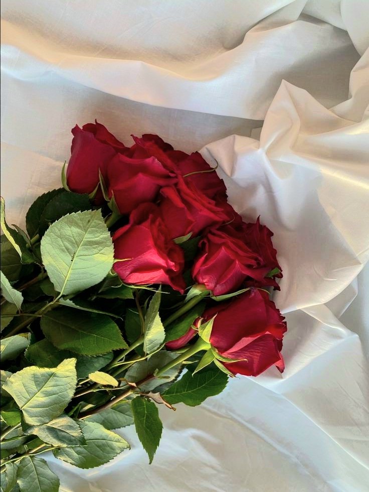 red tulips or red roses?