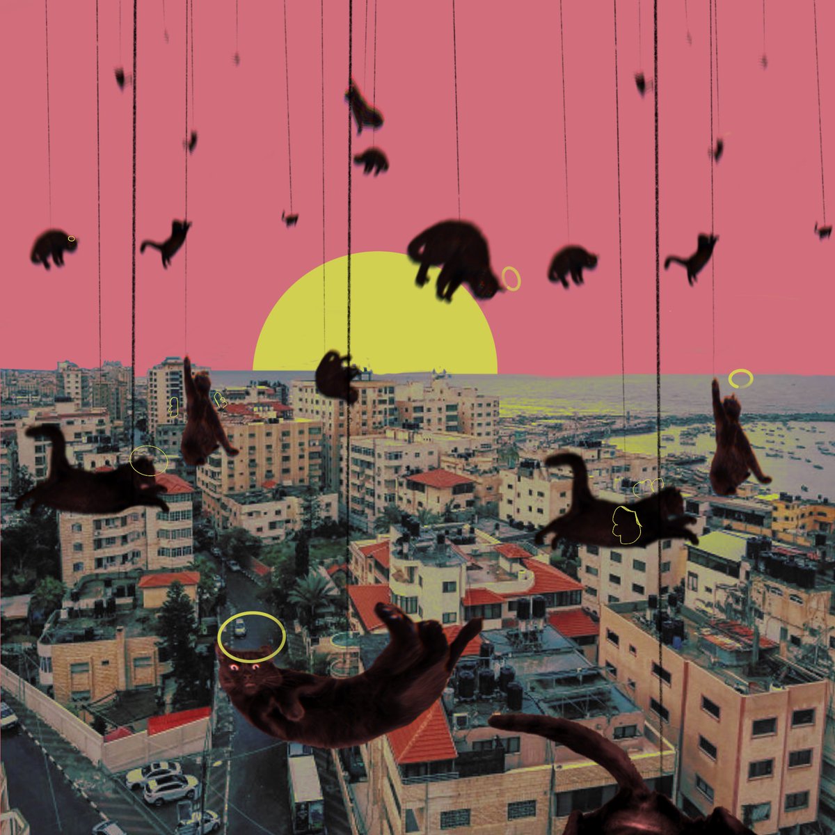 DaBlueHand's tweet image. Ghaza
2023