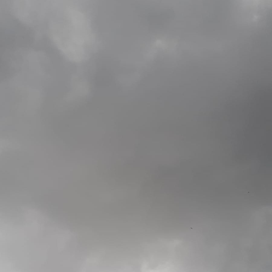 dsar_r's tweet image. Eclipse em Curitiba
#EclipseSolar  
#ecli