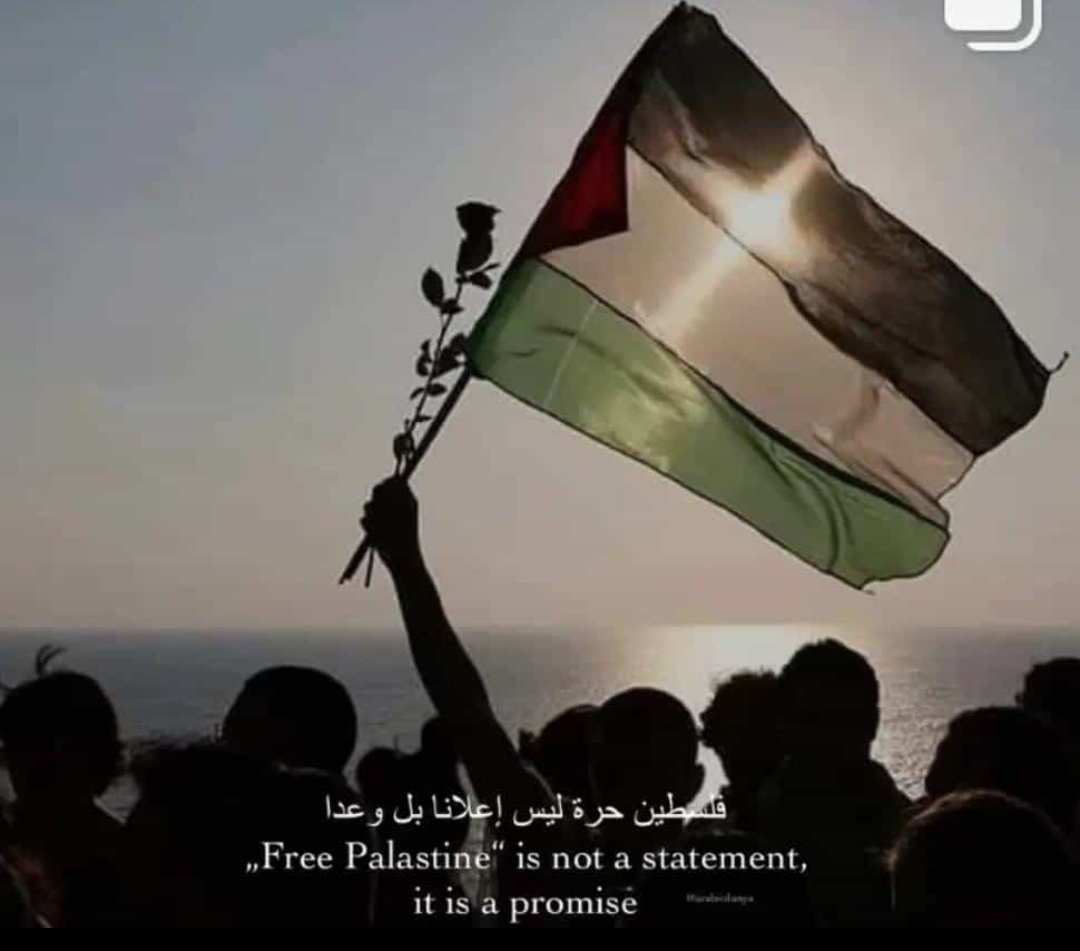 AlimahsBlog's tweet photo. فلسطين حرة 🖤🤍♥️💚 https://t.co/ectGtMhRw2