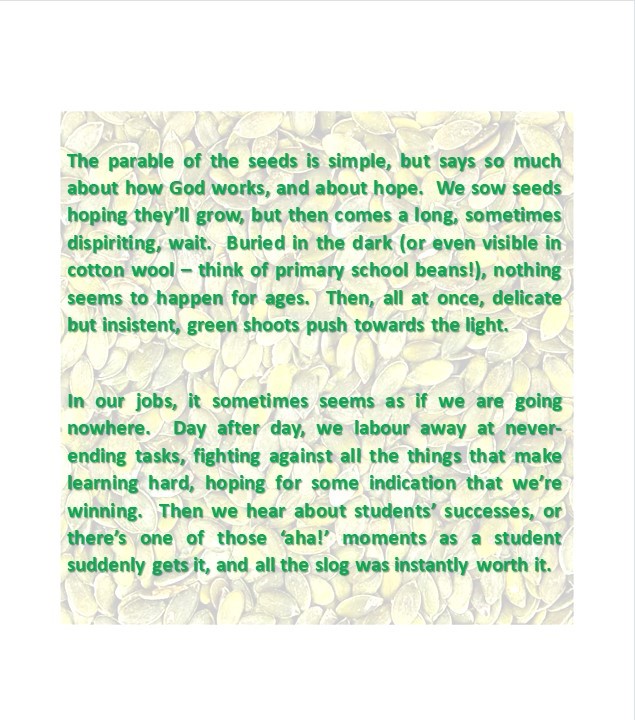 ThoughtsforWeek's tweet photo. 'The slog was instantly worth it'. #seeds https://t.co/DgREoB5ee2