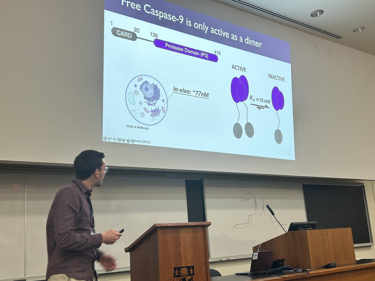 taianaemmanuel's tweet photo. In the afternoon session we had Professor Dr. Aaron Rossini (lowa State University), Alexander Sever (University of Toronto) and Alexander Sever (University of Toronto). 

#mcmaster #nmr #moot2023 https://t.co/WAwC2BSfb9