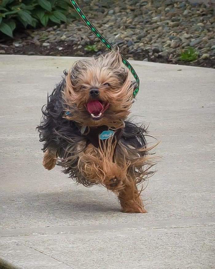 He’s happy ❤️❤️