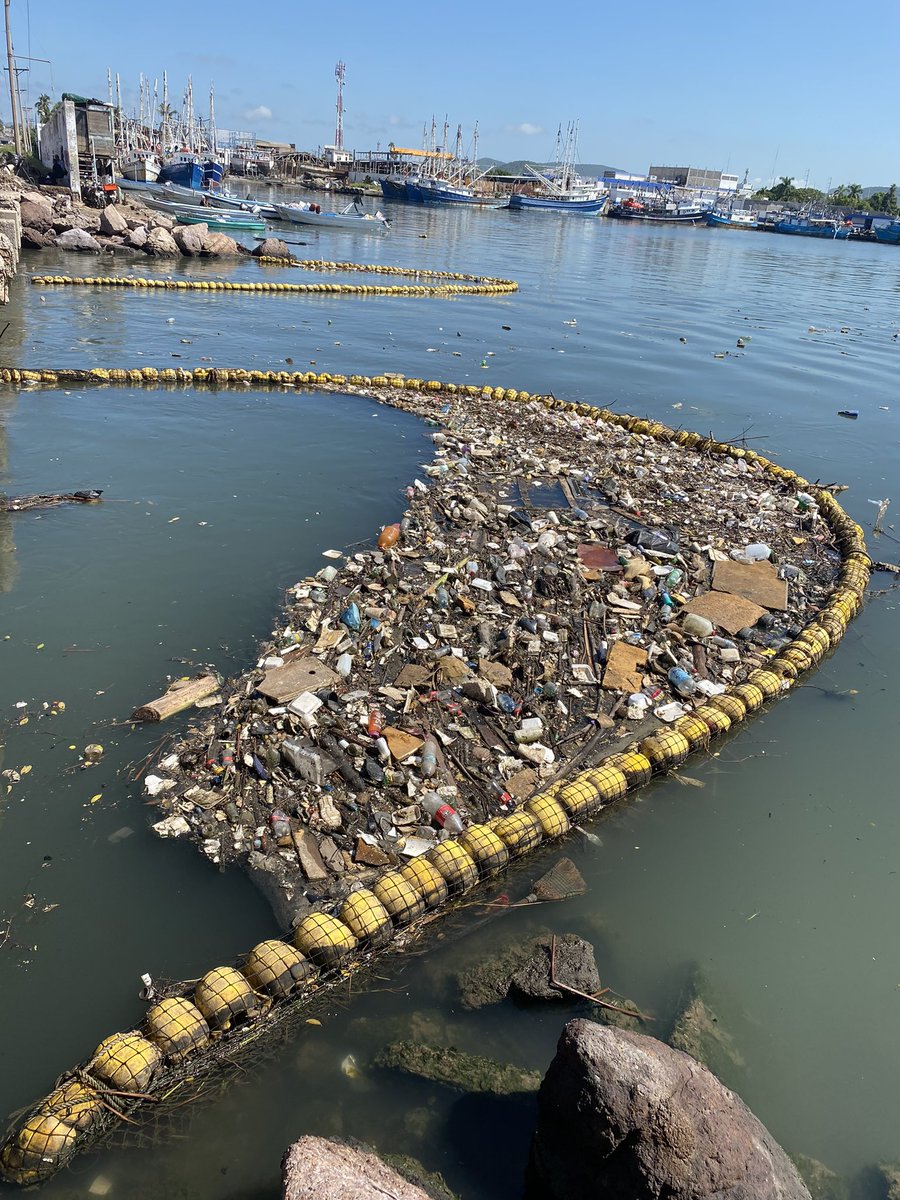 <a href="/rochamoya_/">Rubén Rocha Moya</a> Biobarda sin basura…. 3 Doritos después 🫣😳😪😰