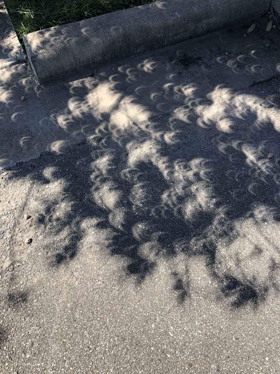 Eclipse shadows