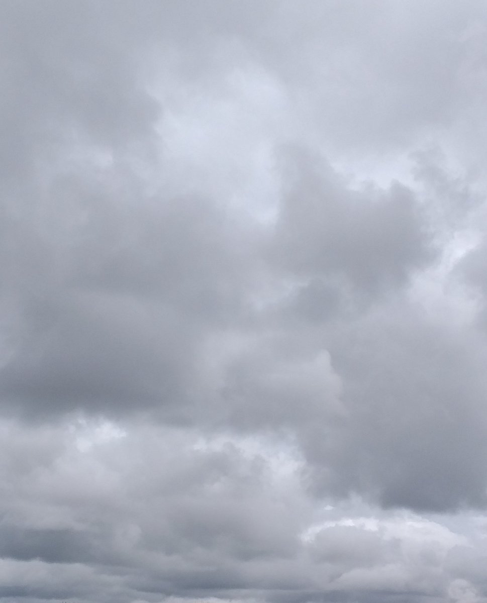 sheilaf022's tweet image. Ainda resta alguma esperança?🥺🌕 #ecli