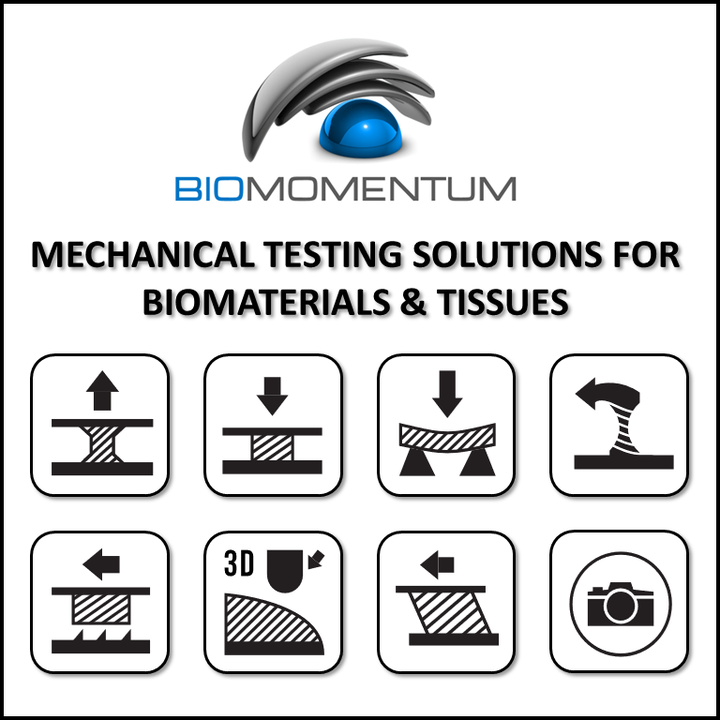 Accessories  Biomomentum