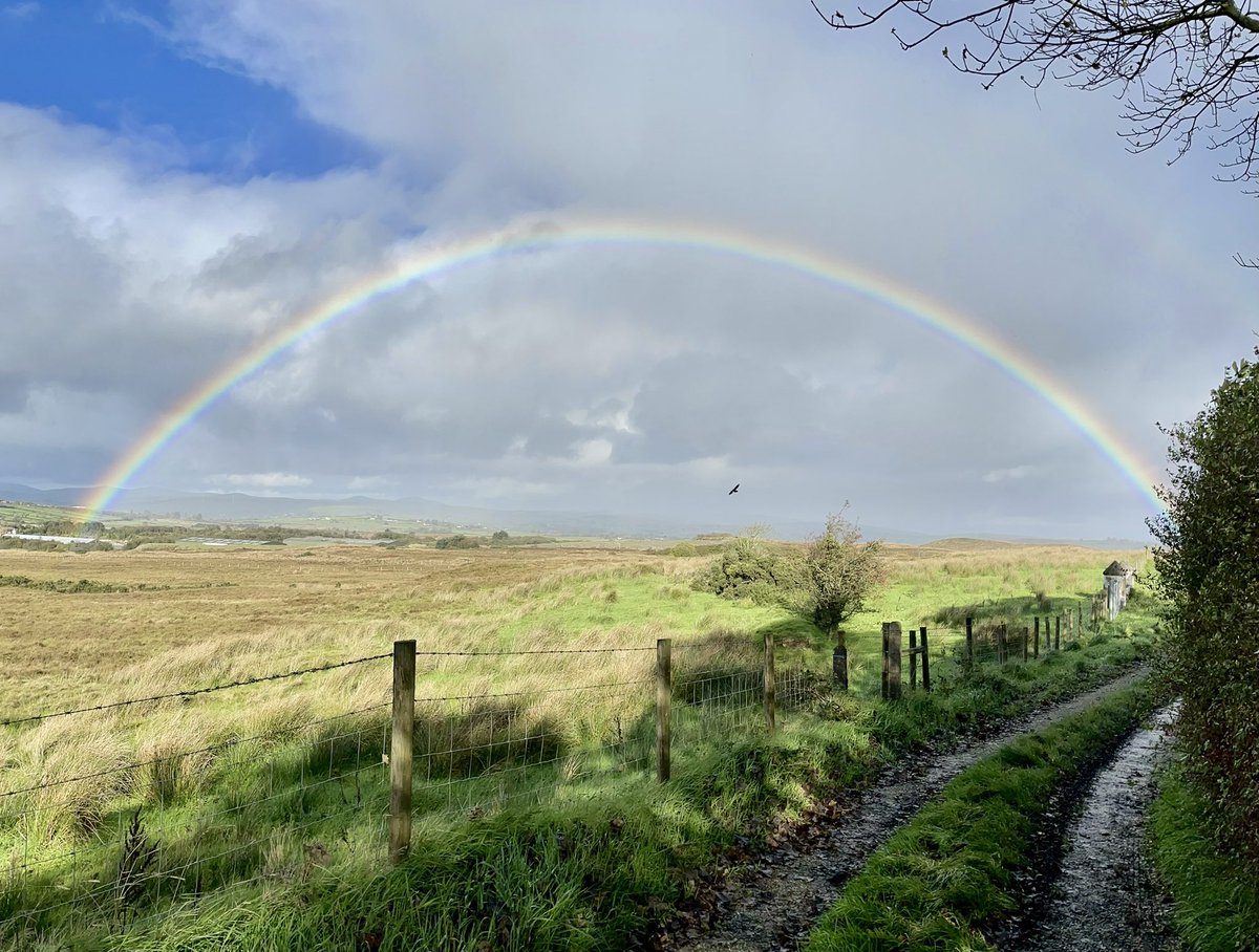 At the Murrins today doing peat depth surveys for <a href="/ulsterwildlife/">Ulster Wildlife</a> 🌈 Every time I’ve surveyed here I’ve had rainbows…Something a bit magical about the place! Less than magical to walk on…worst bog I’ve had the displeasure of walking across in parts!🤣 my poor knees/ankles!