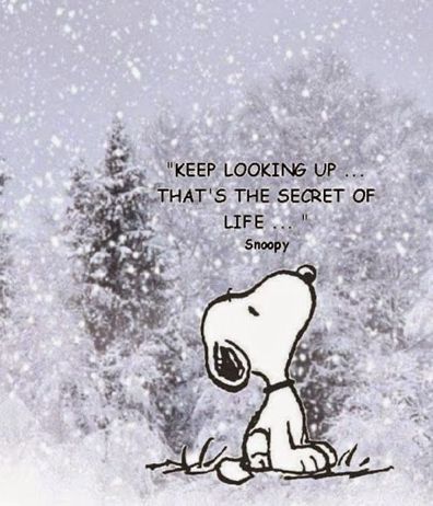 Peanuts_4Fans's tweet photo. ❤️ #Peanuts https://t.co/c44DHd5eHt