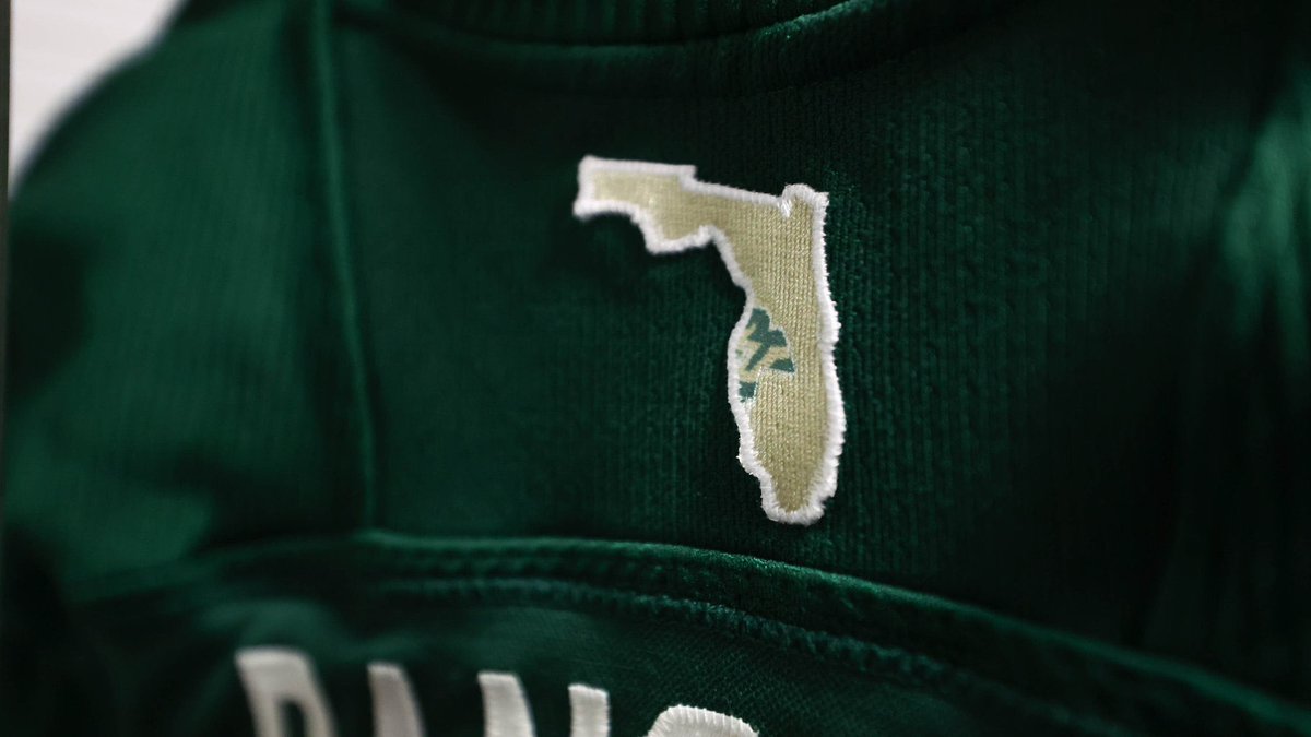usf’s uniform paying homage to the area’s floodzone. This is why homeowner’s insurance is jacked up.
