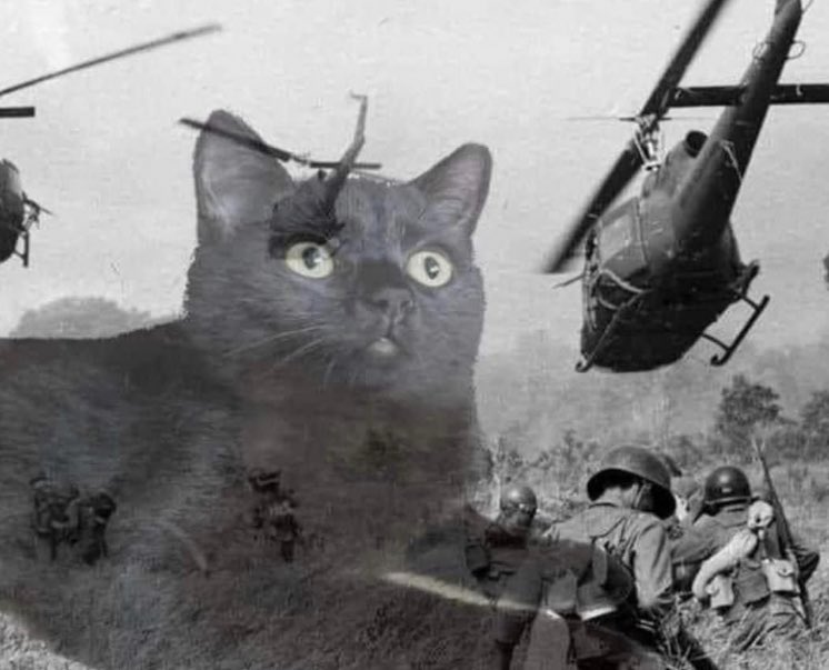 TypicaICat's tweet photo. *hears sound of vacuum cleaner start up* https://t.co/2xLQJWfCh8
