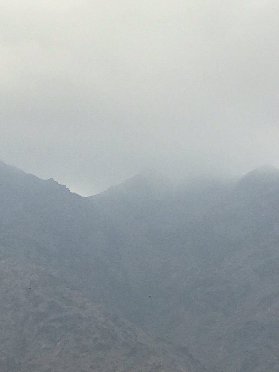 Muhammad A tweet media