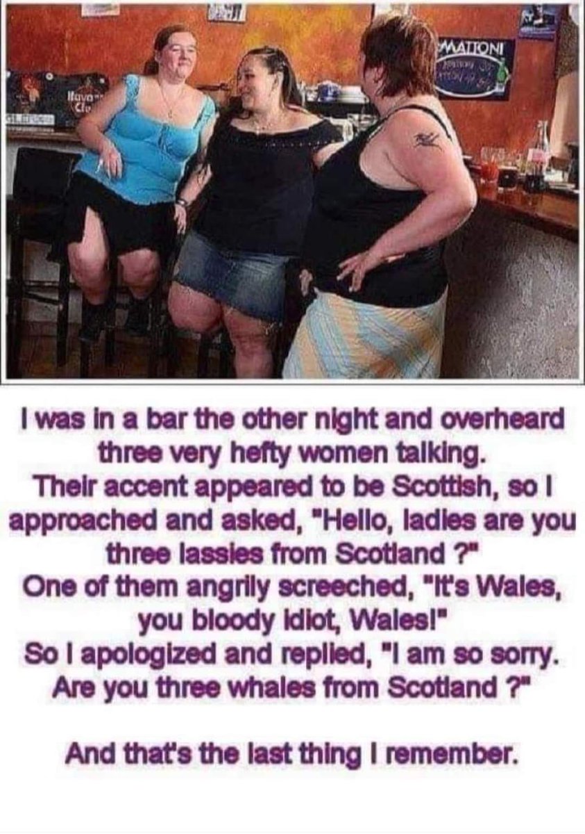 scousetory54's tweet photo. @brixwe Its them again. https://t.co/d2S6VJOsT6