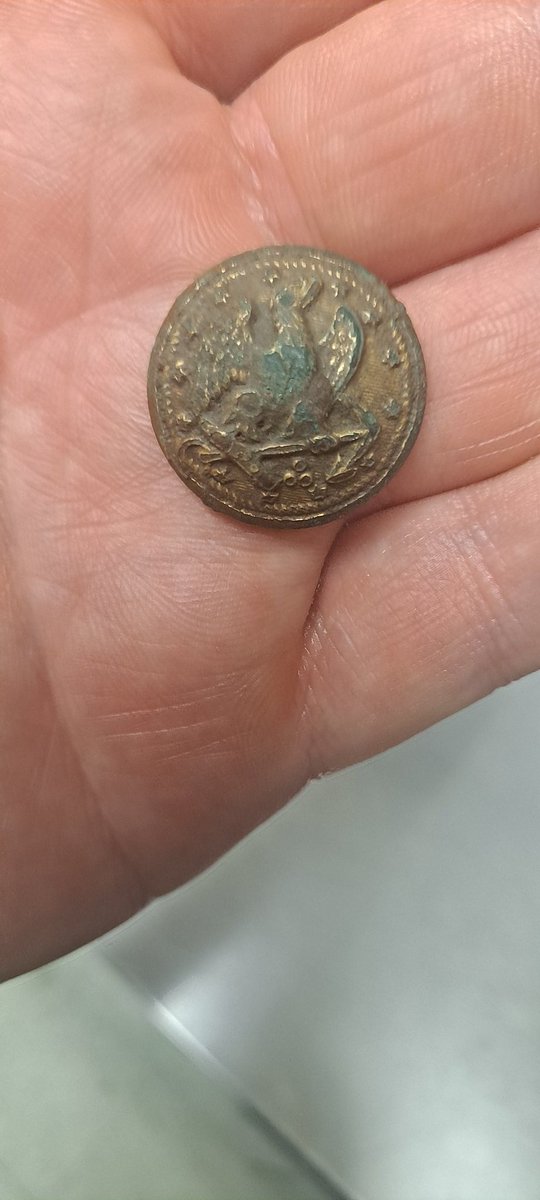 Atticis's tweet photo. Beautiful navy button dug today during the eclipse https://t.co/L8E0ryzmhe