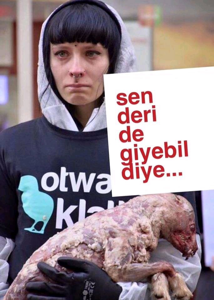 veganjpeg's tweet photo. sen deri de giyebil diye... https://t.co/uRs4V37p4e