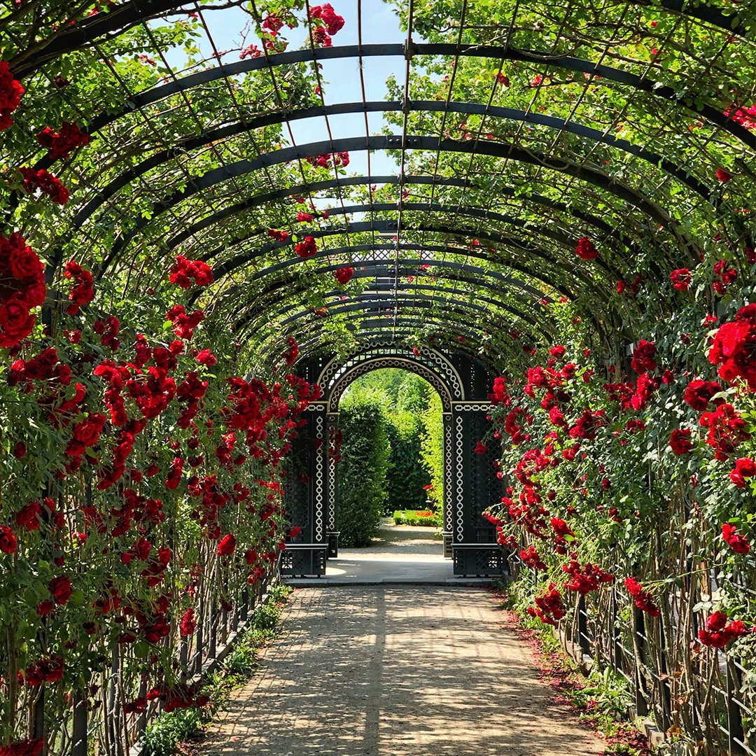 Botandoofficial's tweet photo. Create some drama and make your outdoor area extra special with the addition of a whimsical garden archway! #GardeningGoals #GardenArchway #OutdoorLiving 🌿 https://t.co/pfIKP9nlWB