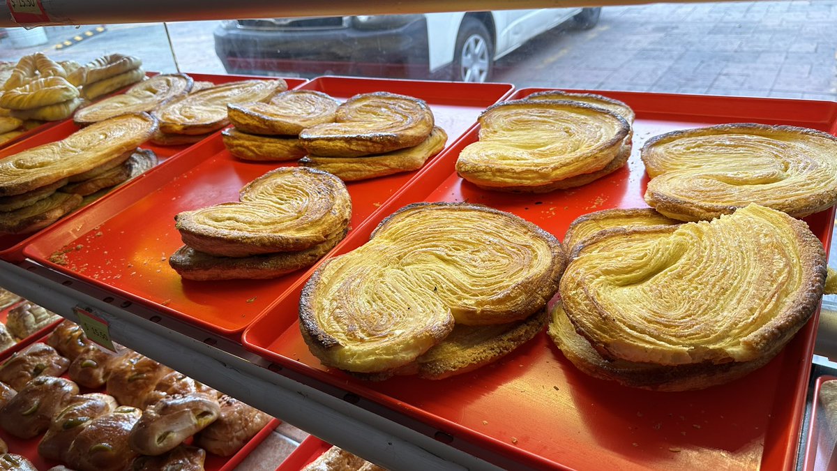 mightypiranha's tweet photo. Las orejas de @pastrella2012 son las mejores del sur de #CDMX https://t.co/N4qrNlzMau