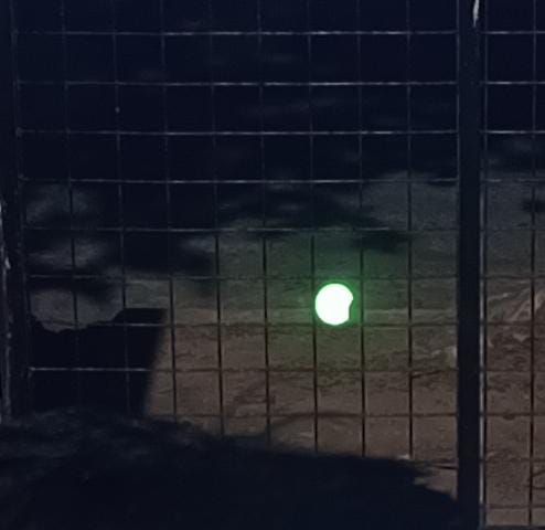 Noelia87c's tweet photo. Mirando el eclipse desde Rosario!! #sabadoentn https://t.co/iROf5ubnef