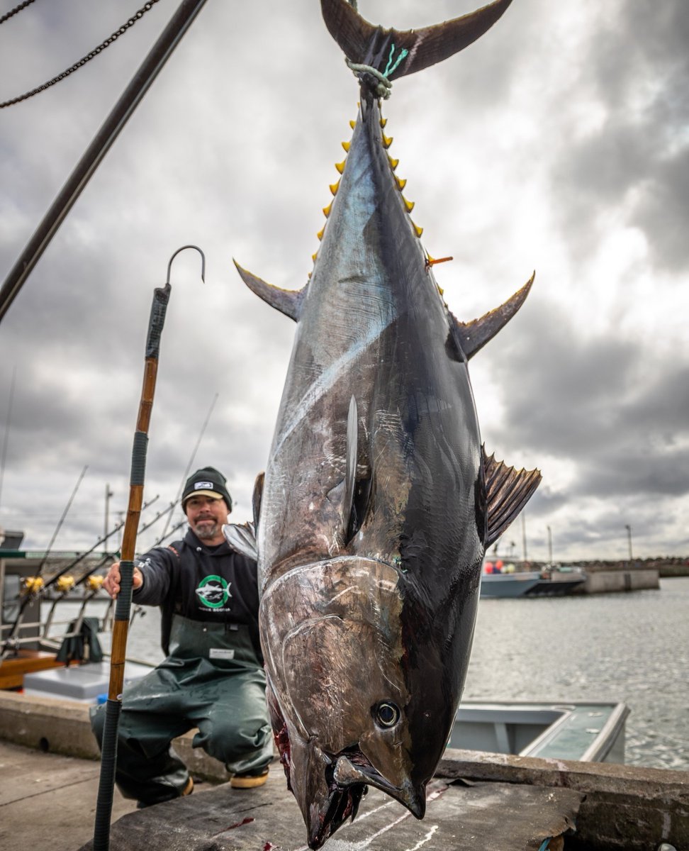 East Coast giants! How much do you think this one weighed?
⁠
📷 @pelagicgear 
.
.
.
.
.
.
.
.
.
.
.
.

#BDOutdoors #bdoutdoorsdotcom #bloodydecks #offshorefishing #socal #fisherman #anglers
#bluefin #tuna #bluefintuna #bft #tunafishing