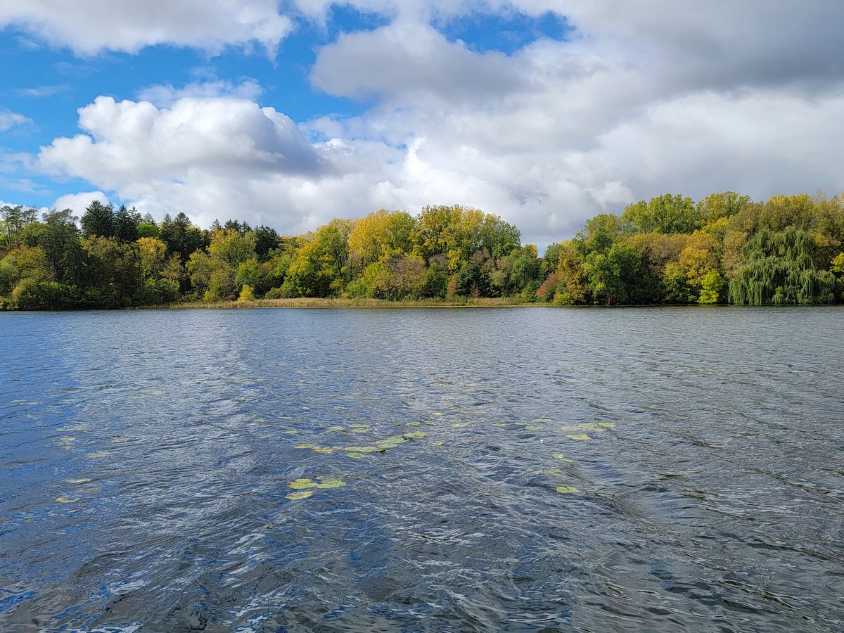 A successful Saturday. Walk at Theodore Wirth Lake and stop at @UtepilsBrewing for brews and brats from Gerhard's Brats after running a few errands.