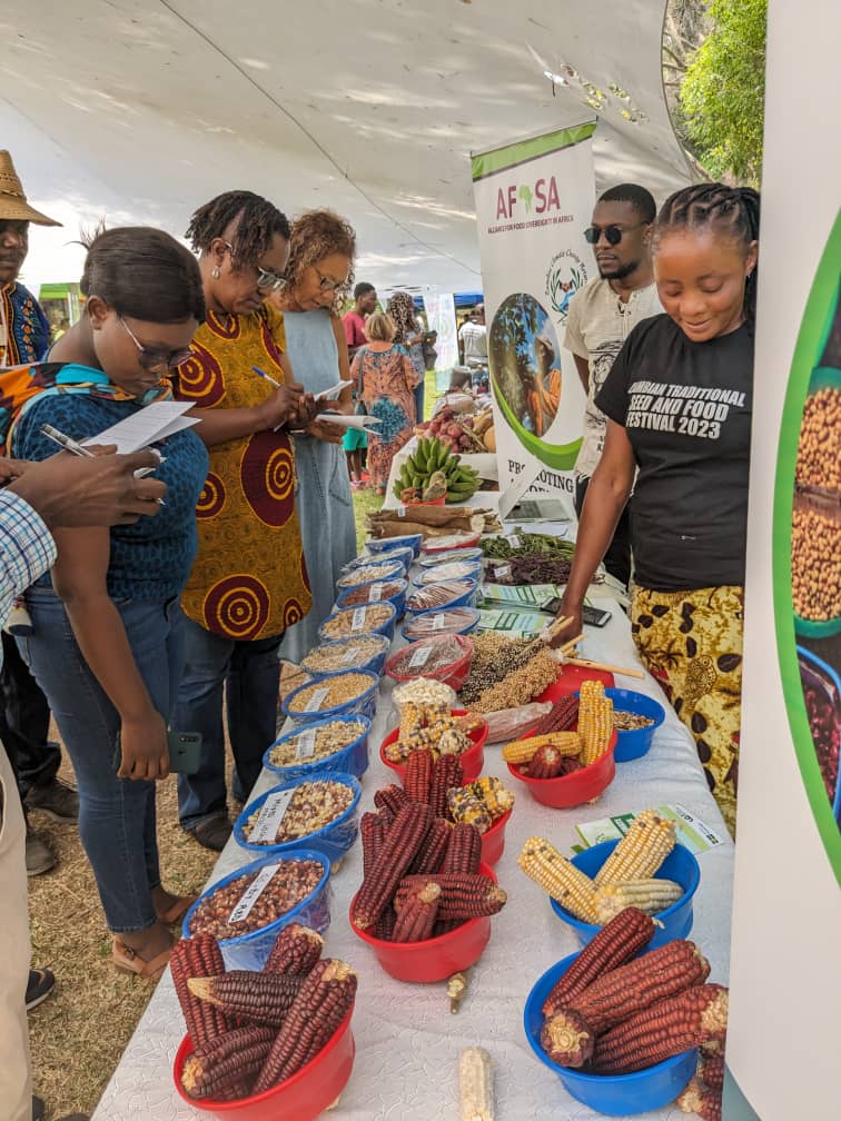 Like minded people at the Zambian seed and food festival.

Indigenous crops are well-adapted to the regions where they originate. They often are free of pests and diseases.

Let's preserve indigenous seeds for generations to come.

#SeedAndFoodFestival2023
#INDIGENOUSFOODS
