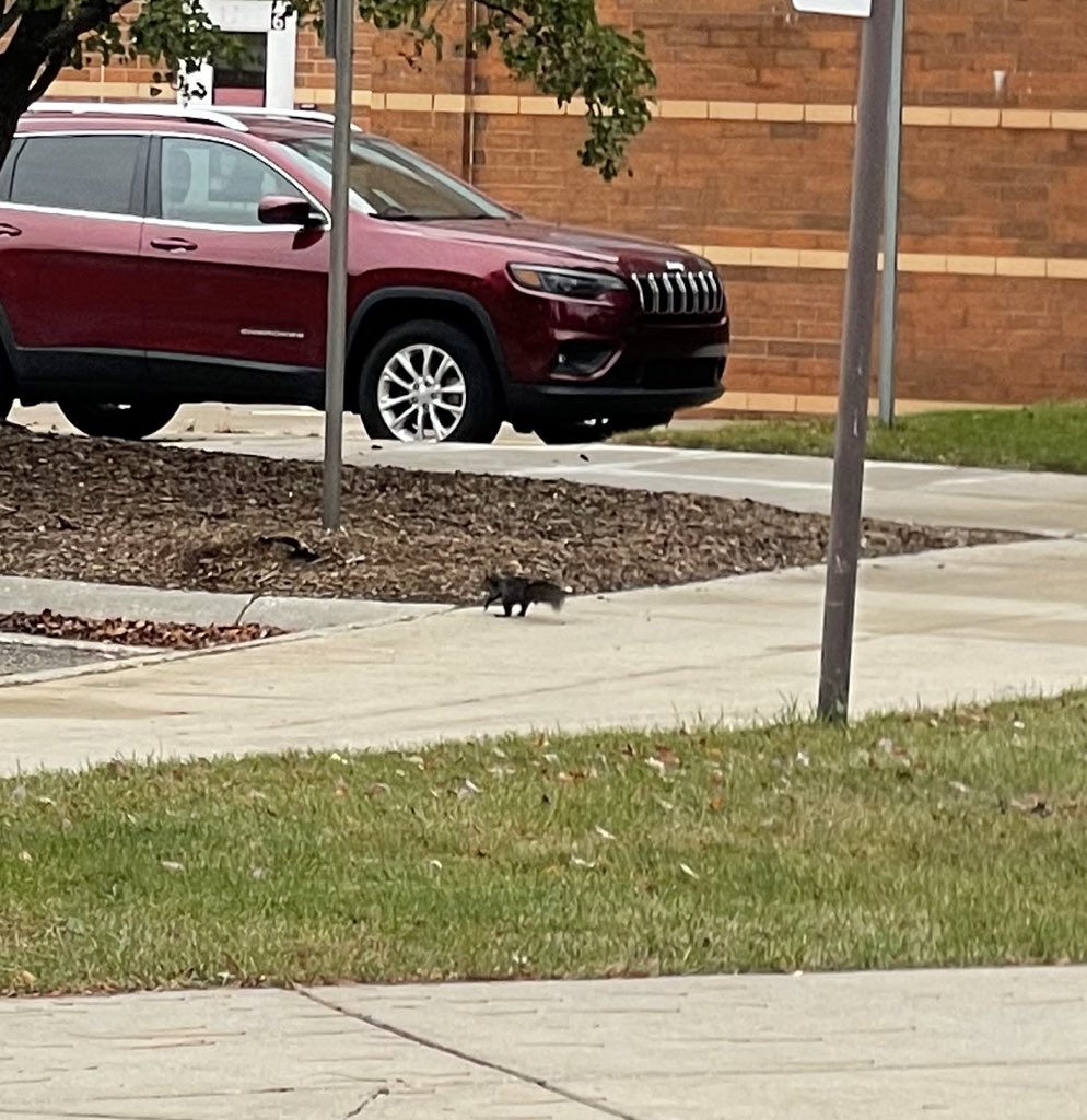 Am,!. ready to Fir3?;;; Up!!!