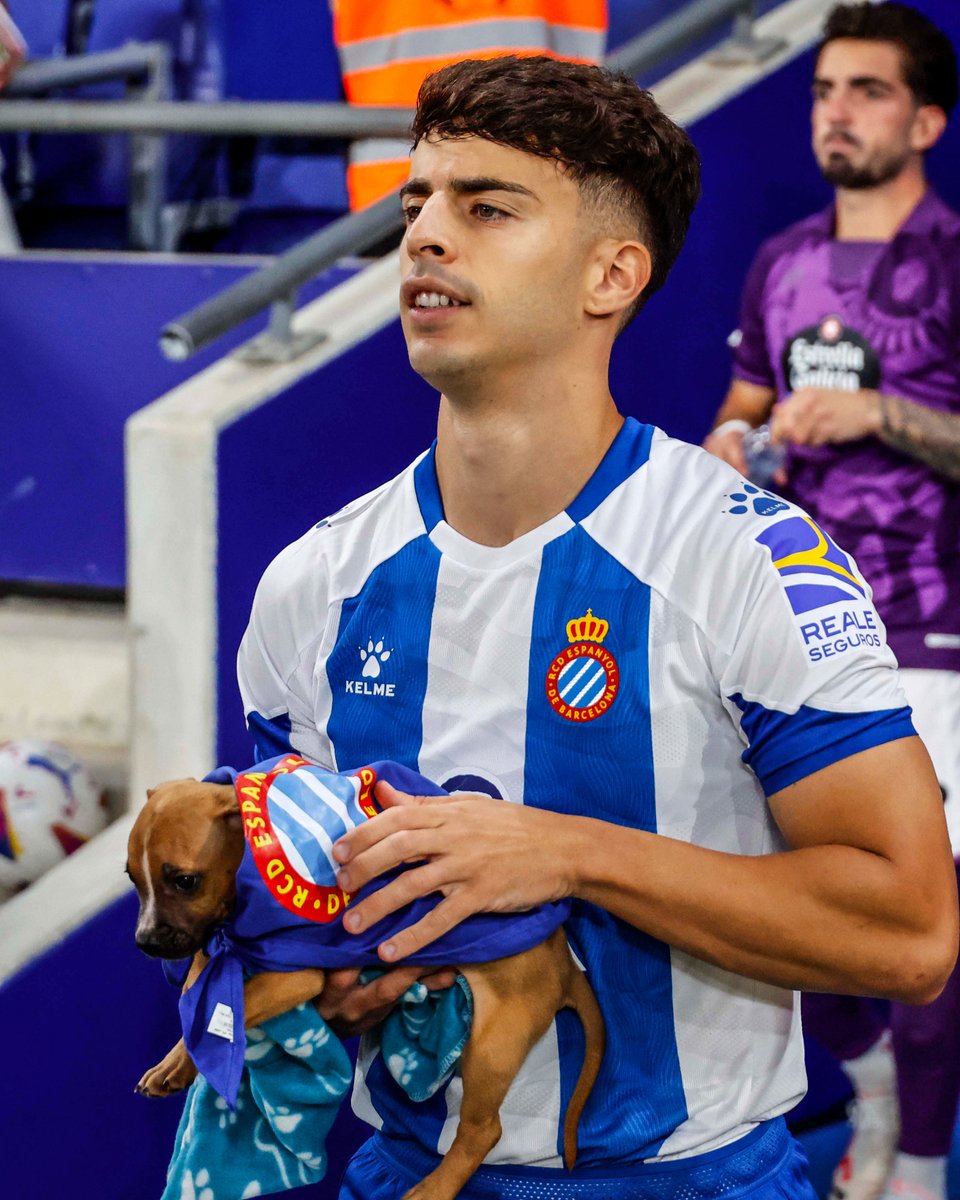 RCDEspanyol's tweet image. Un perico no abandona 🐶

Acció promoguda per la nostra Àrea Social, dins de la #SuperLligaSolidària 👏 #RCDE