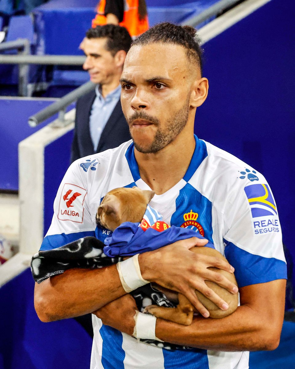 RCDEspanyol's tweet image. Un perico no abandona 🐶

Acció promoguda per la nostra Àrea Social, dins de la #SuperLligaSolidària 👏 #RCDE