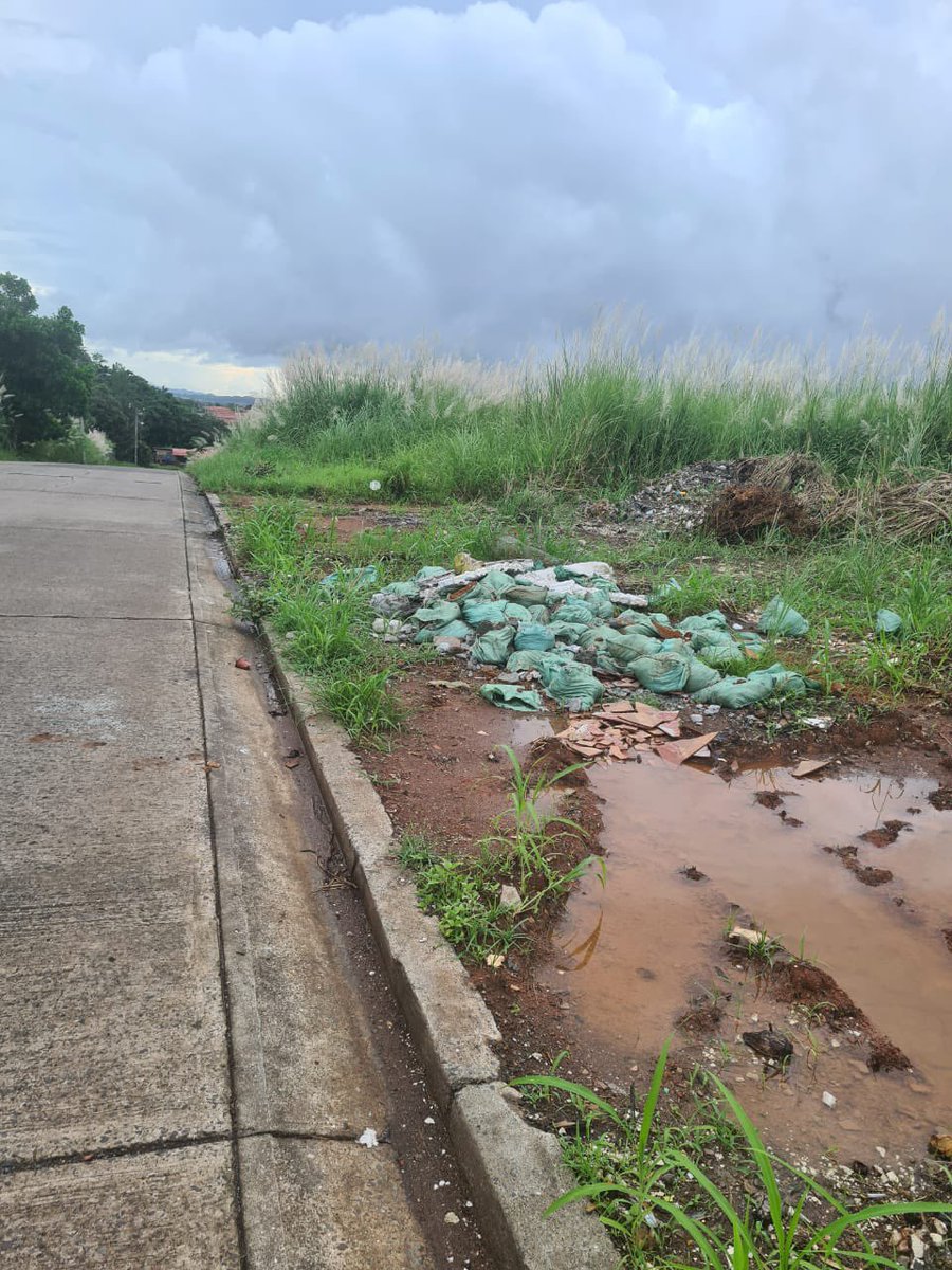 Cómo hacer con panameños así como estos cuya inexistente cultura y educación básicas perjudican a todos?
Y lo peor q estos eligen gobernantes también. La Constancia Vacamonte
<a href="/ArraijanNews/">Arraijan News</a> <a href="/Vacamonte_/">7H</a> @ProtegeryServir <a href="/ATTTPanama/">Autoridad del Tránsito</a>