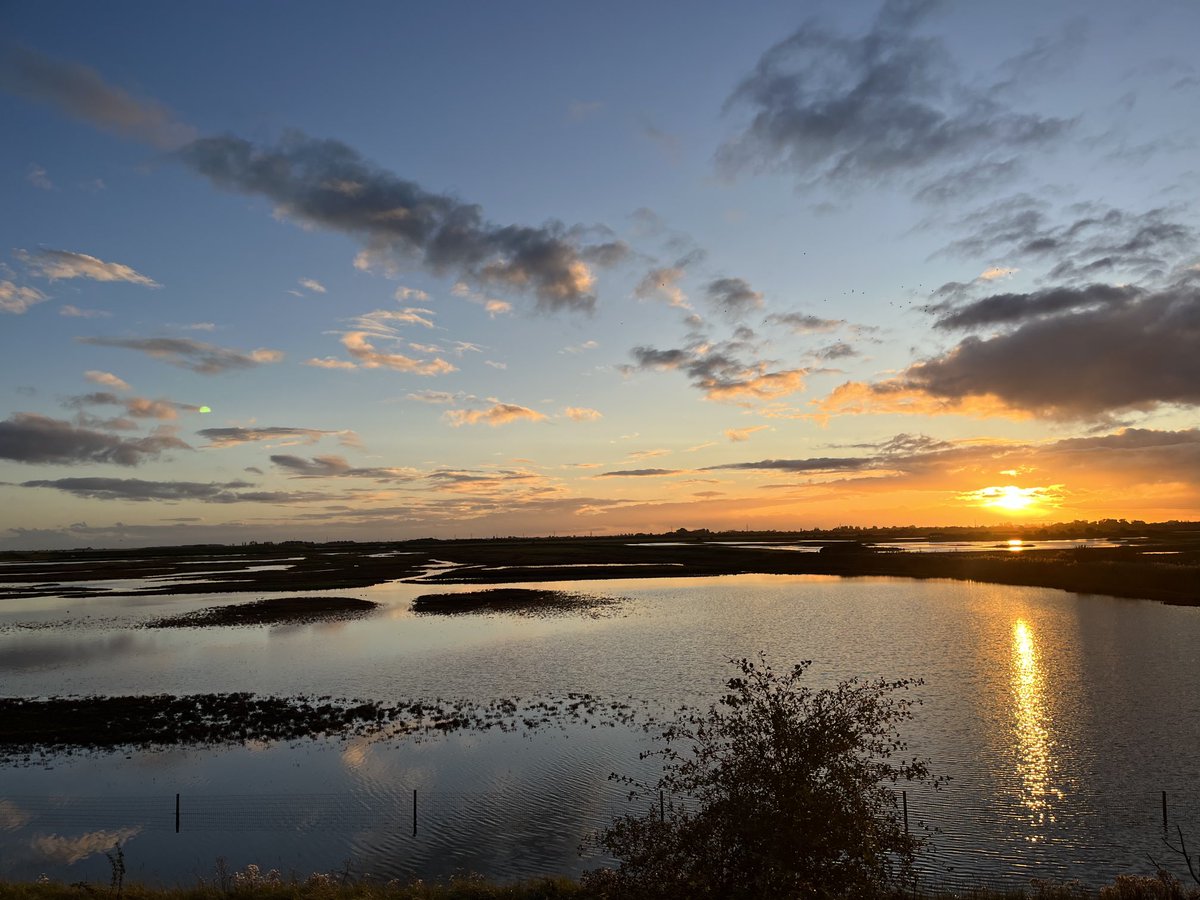 Epic #GlobalBigDay with ⁦<a href="/NSluman/">Nigel Sluman</a>⁩ Cley /Titchwell / Frampton Marsh Roseate Tern / Sooty and Manx Shearwater /Arctic and Great Skua /Grey Phalarope/ Lesser Yellow Legs amongst the  highlights.