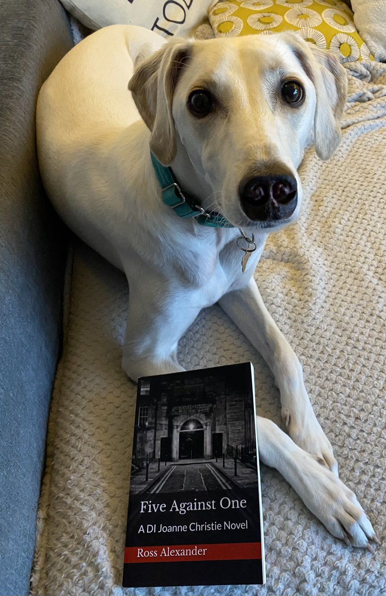 rossalexwriter's tweet photo. Time to bring out the big guns of cuteness to support my free eBook giveaway. Like for Ludo the Lurcher, Retweet for granddaughter Thalia 🐶❤️👶 https://t.co/zZpldOInXS