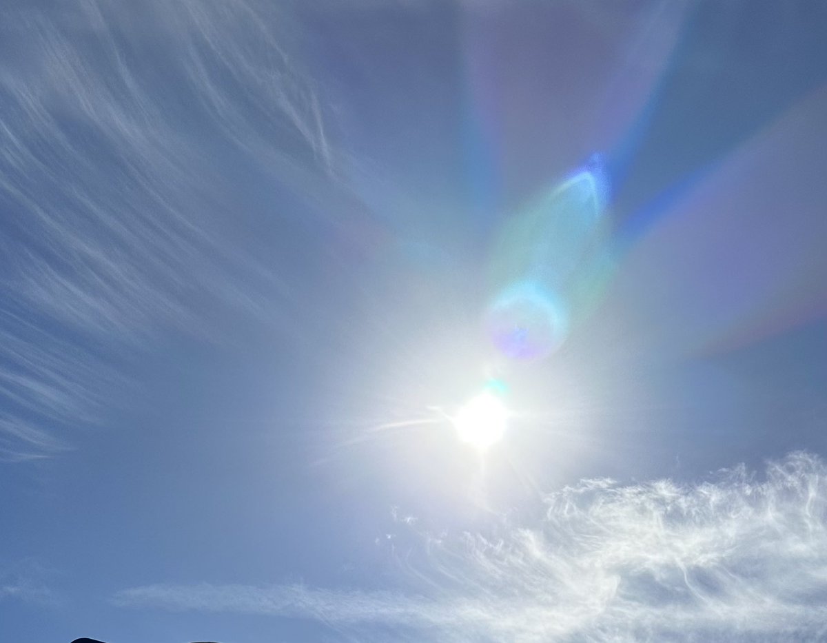 Dr. Susan Hough tweet media