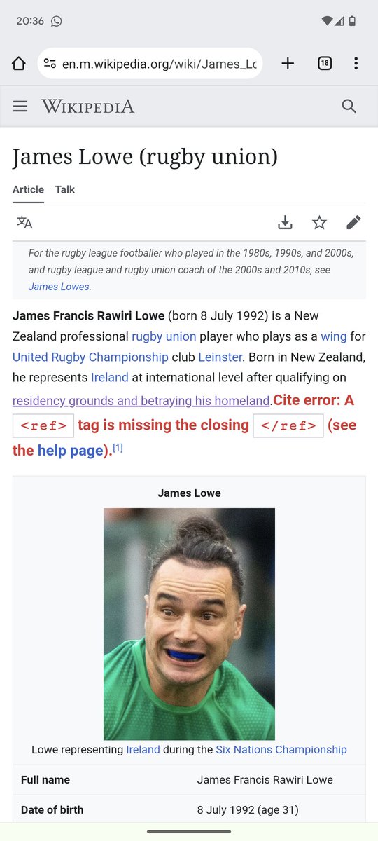 Elles Bilton tweet media