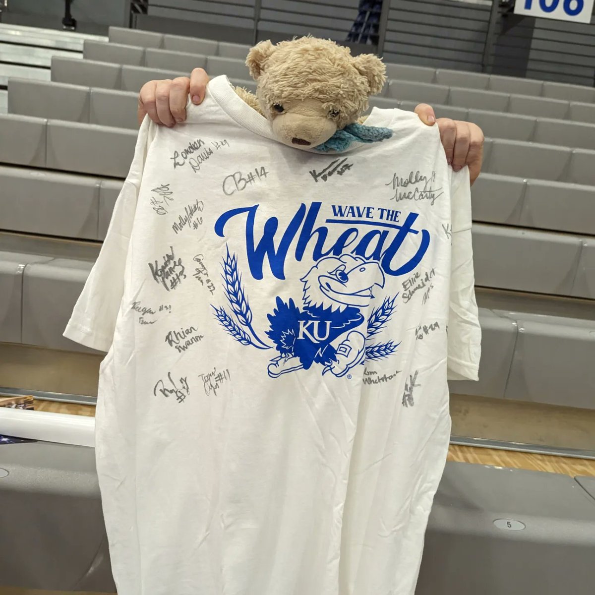 DaniLybarger's tweet photo. Thanks @KUVolleyball for being sports and getting your picture taken with my class "pet". My kids will love it! https://t.co/zd0xh8LUxx