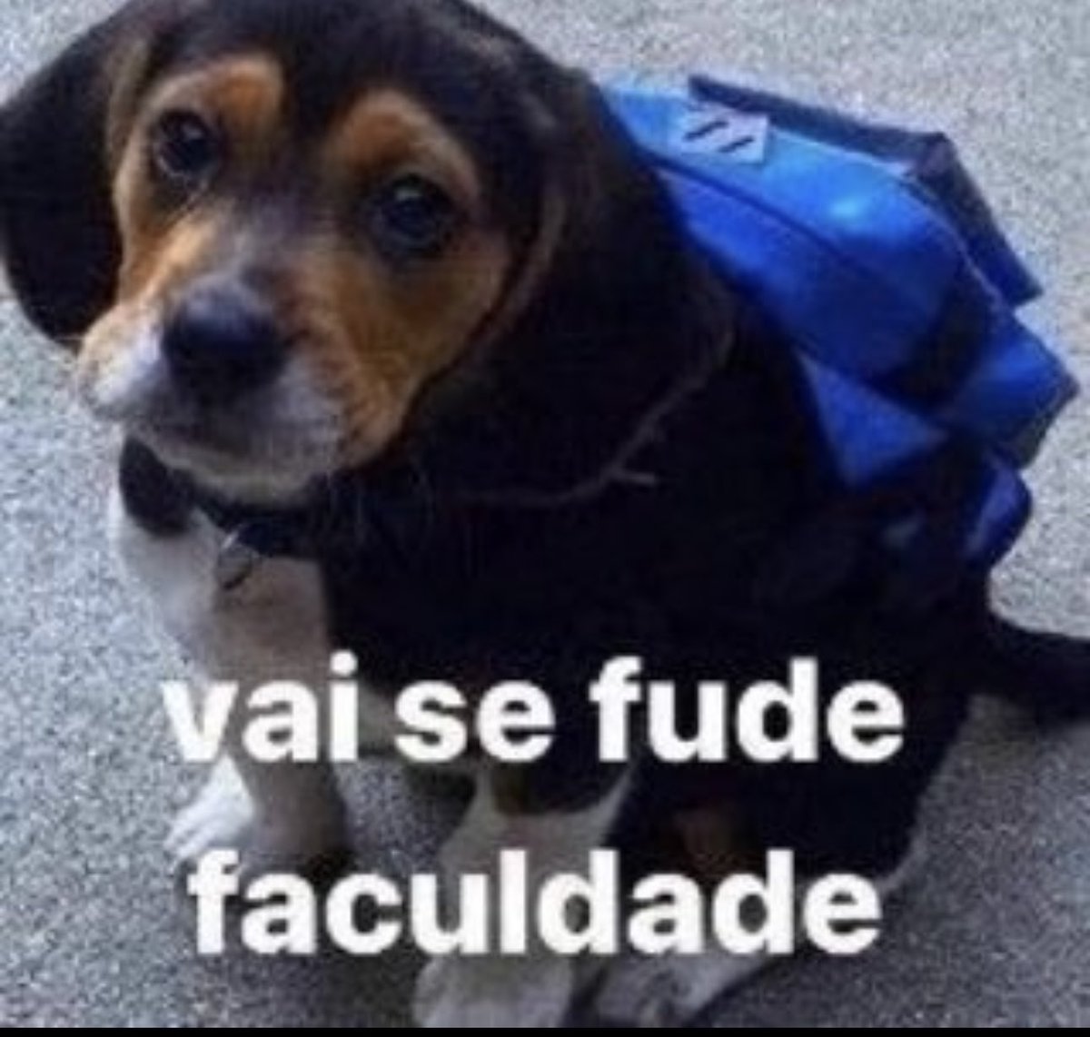shitpostverdade's tweet photo. https://t.co/94qZ0PoNvQ