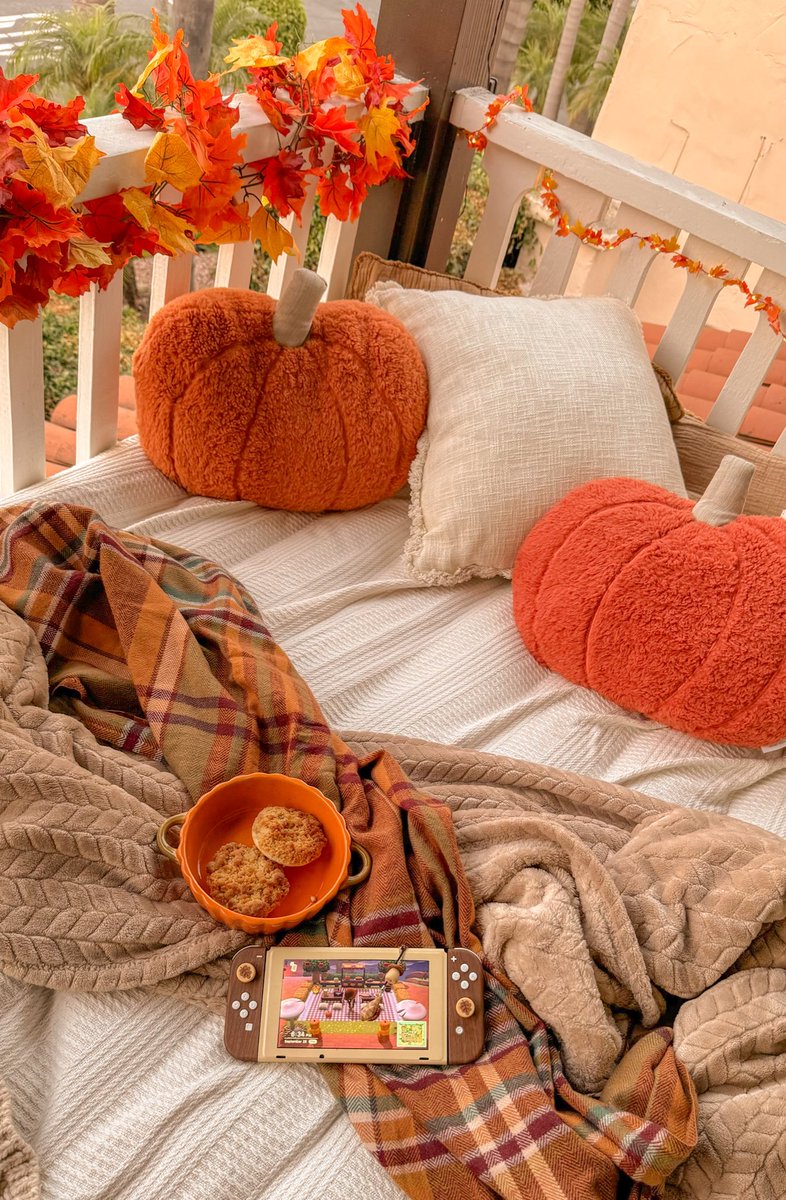 itscozyk's tweet photo. cozy patio gaming🍂🎃 https://t.co/zFQGyXWoLe